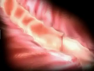 Woe increased by Appreciation 3D Hentai