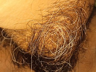 El coño peludo de mi esposa y el clítoris