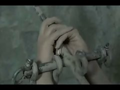 الكلبة مارس الجنس واسحب في الوحل