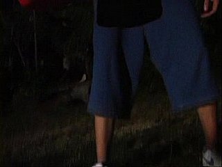 疯狂的电影取笑2