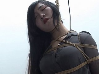 xiaoyao cina 352