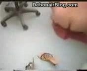 dentiste pakistani 7
